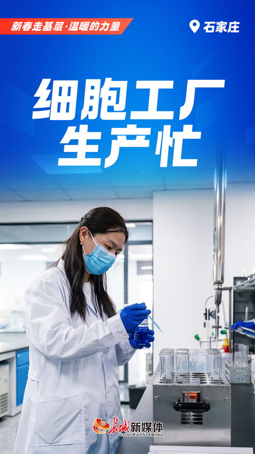 衡水新聞網(wǎng)