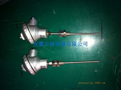 精準控溫，品質之選——安徽中麗電器鎧裝熱電阻專業供應